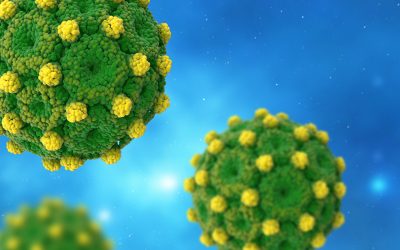 TherVacB clinical study progresses with further patient groups and trial centres?