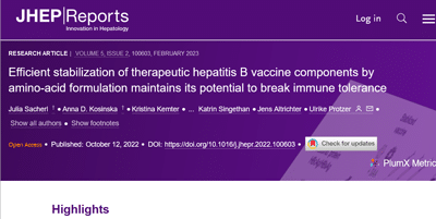Efficient stabilization of therapeutic hepatitis B vaccine components