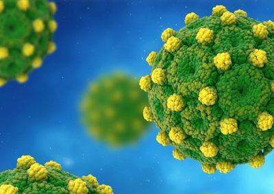 TherVacB - New concept to combat chronic hepatitis B
