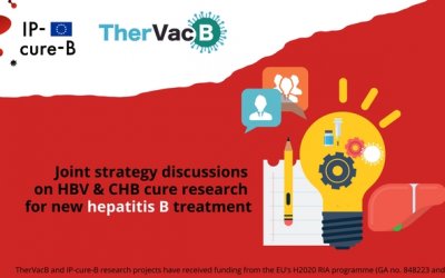 IP-cure-B & TherVacB researchers join forces to accelerate hepatitis B cure research