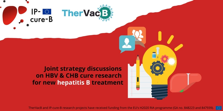 IP-cure-B & TherVacB researchers join forces to accelerate hepatitis B cure research